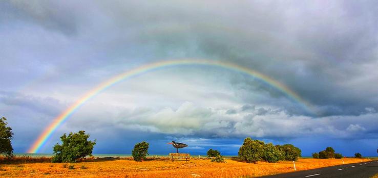 Kaiaua oystercatcher and rainbow