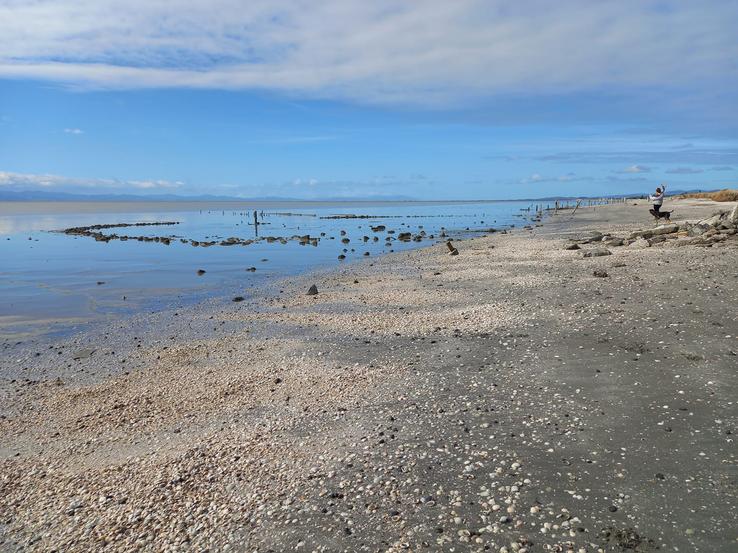 Kaiaua low tide
