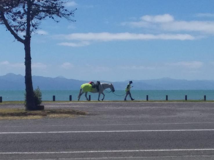 Kaiaua and horse