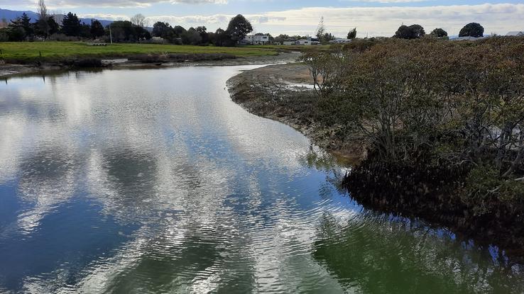 Hauarahi Stream looking up from the Kaiaua bridge