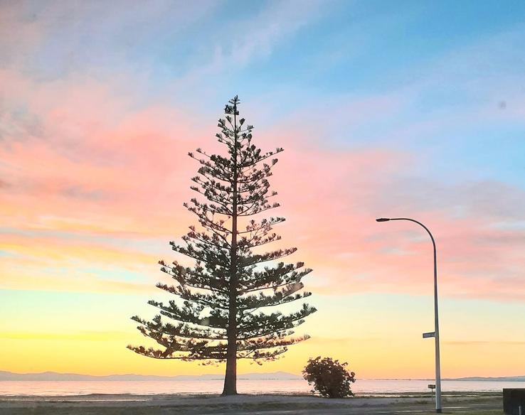 View from Kowhai Ave, Kaiaua