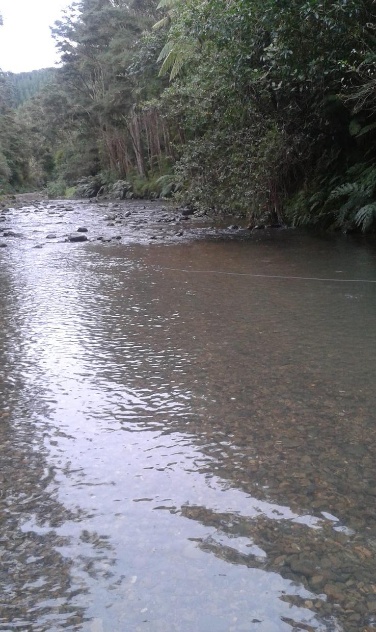 "The Whakatiwai steam that flows through our farm."