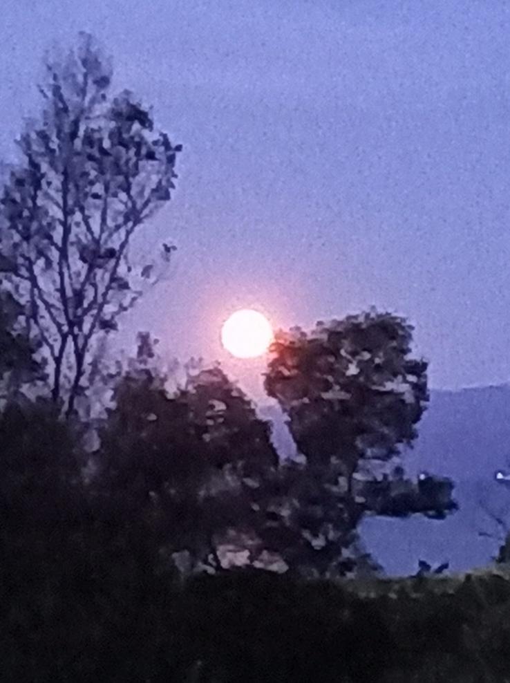 The moon rising