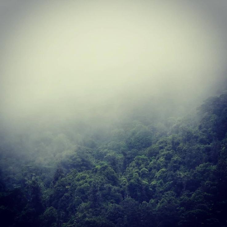 Kaiaua foggy day